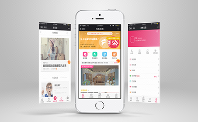 b2b2c商城系統開發更適合哪些行業?